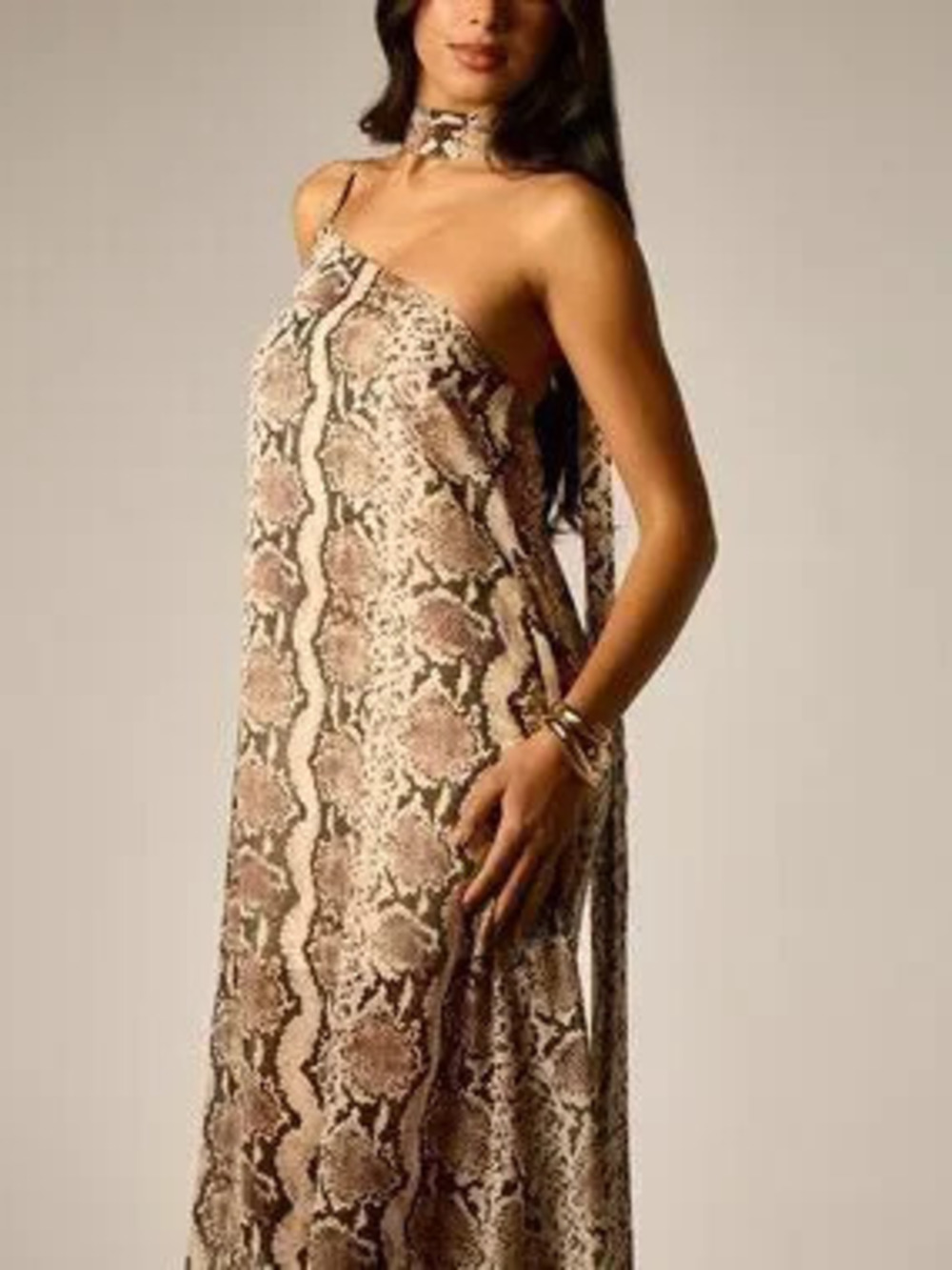 Multicolor Elegant Women's One-Shoulder Backless A-Line snake print maxi Dress